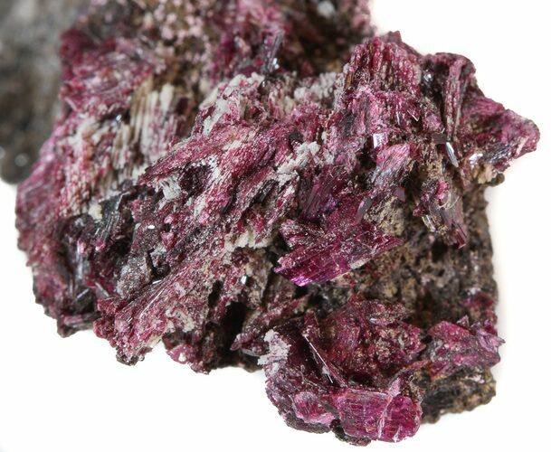 Magenta Erythrite Cystals on Matrix #43201